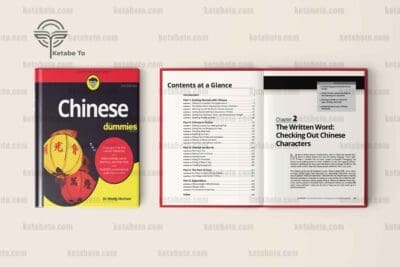 کتاب Chinese For Dummies 3rd Edition